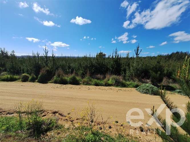 Vende Parcela L184 en Pichilemu - Imagen 11