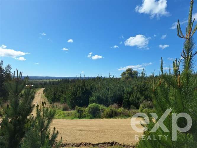 Vende Parcela L184 en Pichilemu - Imagen 7