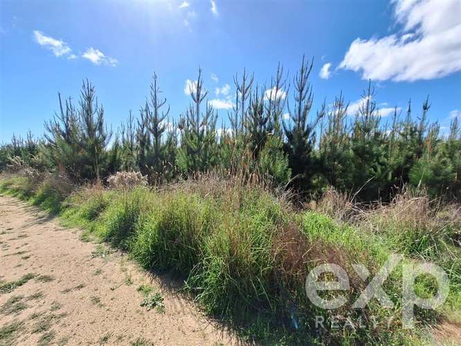 Vende Parcela L184 en Pichilemu - Imagen 12