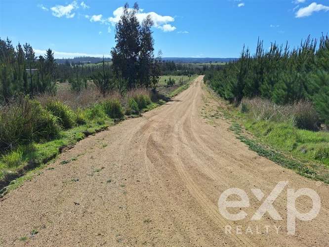 Vende Parcela L184 en Pichilemu - Imagen 10