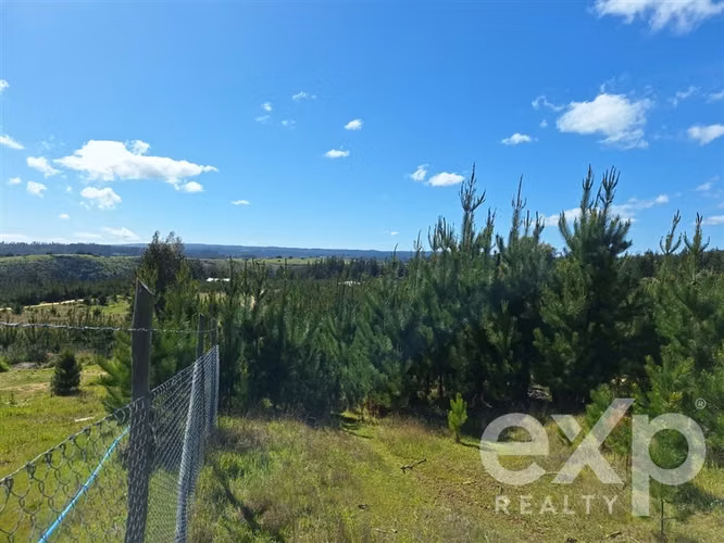 Vende Sitio L184 5000m2 en Pichilemu