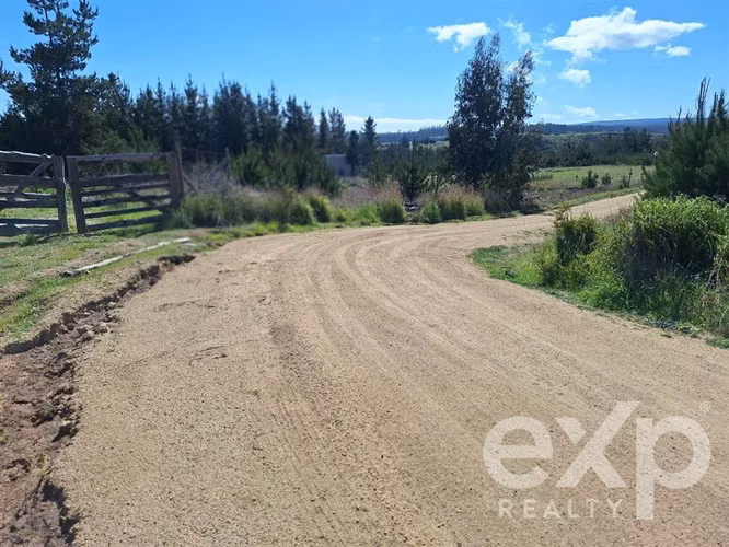 Vende Sitio L184 5000m2 en Pichilemu