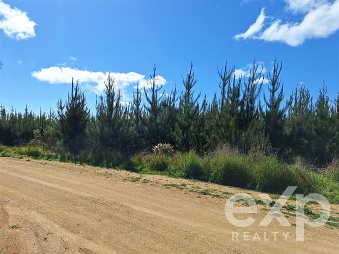 Vende Sitio L184 5000m2 en Pichilemu