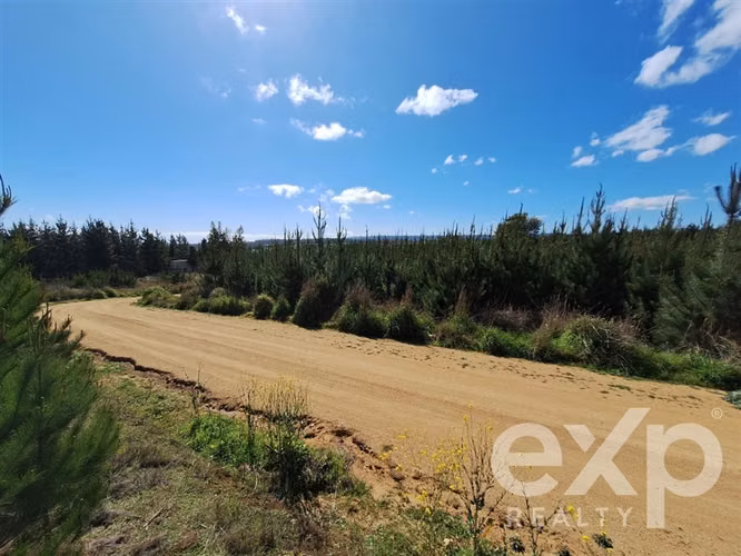 Vende Terreno L184 en Pichilemu