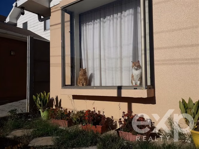 Casa en venta de 4 dorm. en Villa Alemana