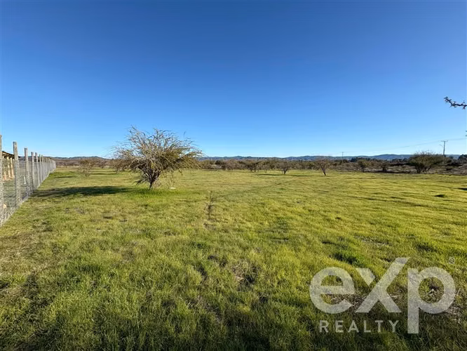 Agrícola en venta en Marchigüe