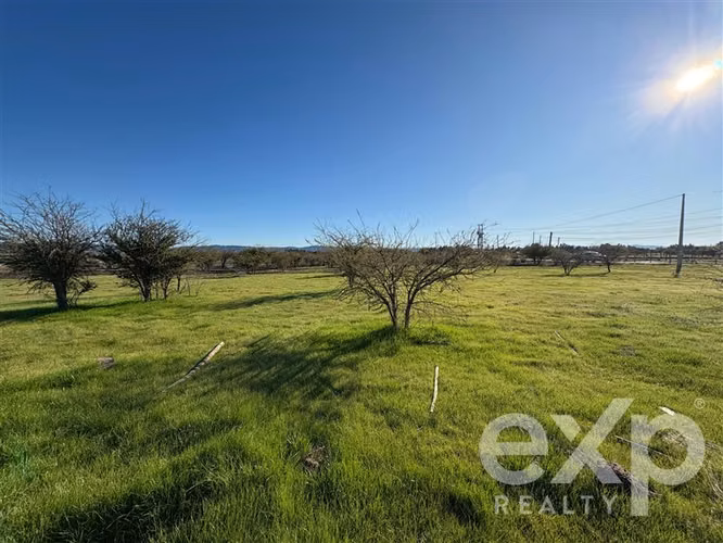 Parcela en venta en Marchigüe - Imagen 4