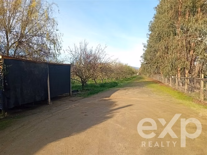 Casa, Piscina y Producción Activa en María Pinto, 34700 m2