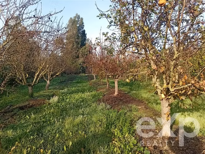 Casa, Piscina y Producción Activa en María Pinto, 34700 m2