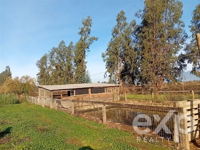 Casa, Piscina y Producción Activa en María Pinto, 34700 m2