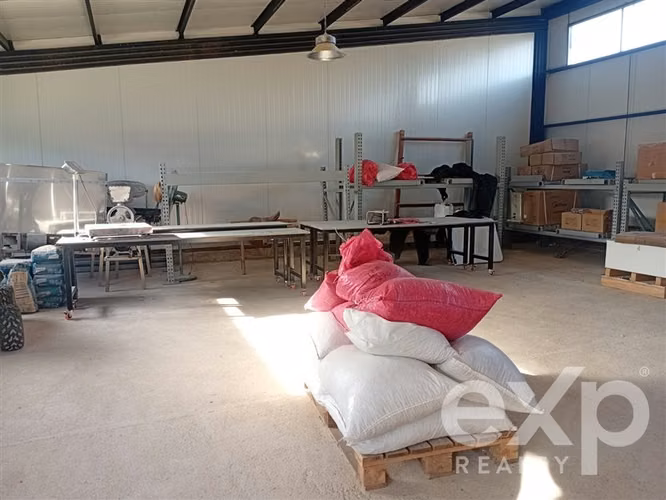 Casa, Piscina y Producción Activa en María Pinto, 34700 m2