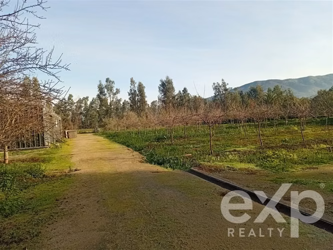 Casa, Piscina y Producción Activa en María Pinto, 34700 m2