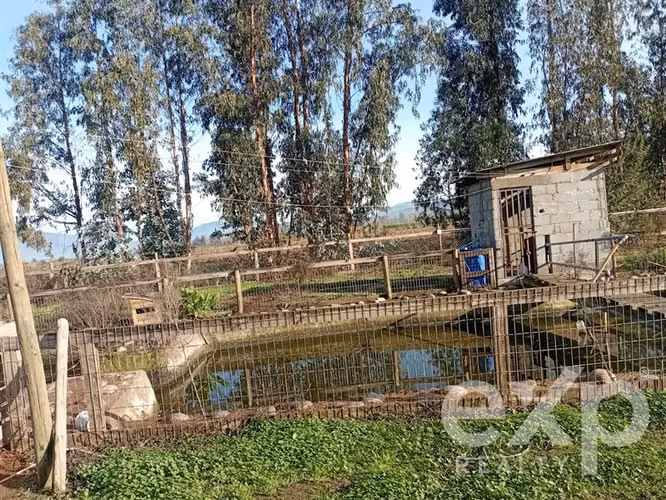 Casa, Piscina y Producción Activa en María Pinto, 34700 m2