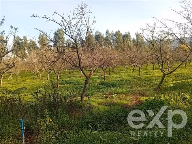 Casa, Piscina y Producción Activa en María Pinto, 34700 m2