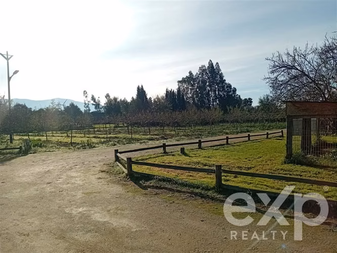 Casa, Piscina y Producción Activa en María Pinto, 34700 m2