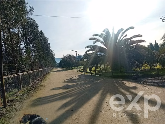 Casa, Piscina y Producción Activa en María Pinto, 34700 m2