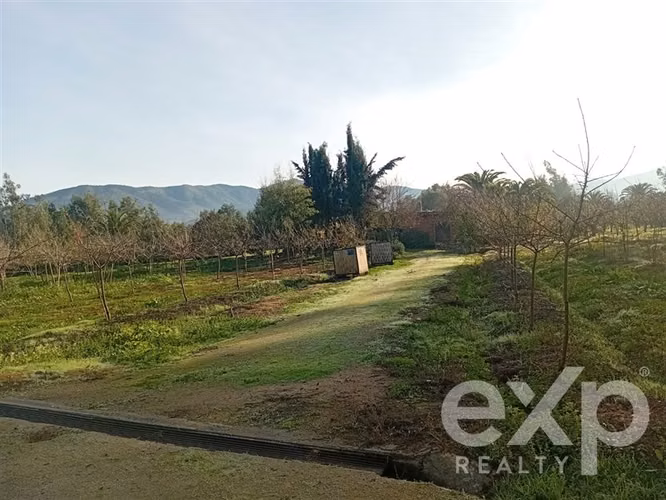 Casa, Piscina y Producción Activa en María Pinto, 34700 m2