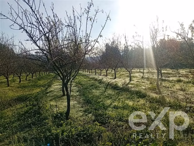 Casa, Piscina y Producción Activa en María Pinto, 34700 m2