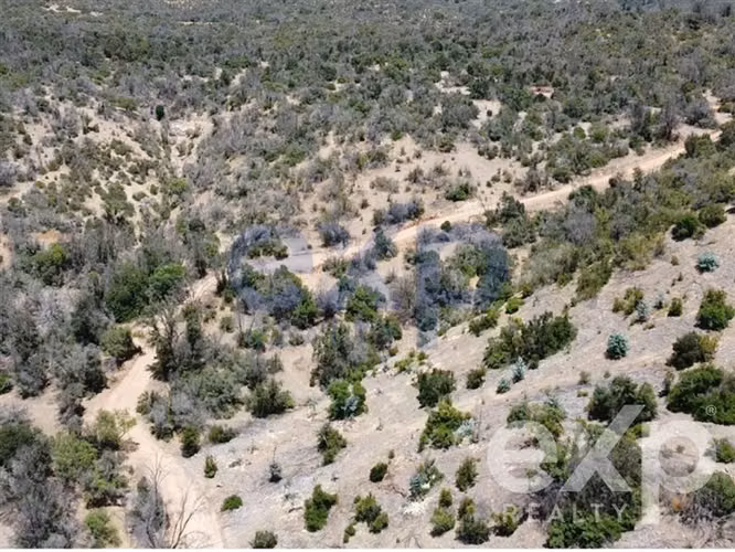 Terrenos ecológicos de 2 hectáreas en Reserva Tucúqueres - Imagen 5