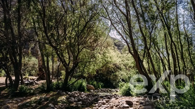 Terrenos ecológicos de 2 hectáreas en Reserva Tucúqueres