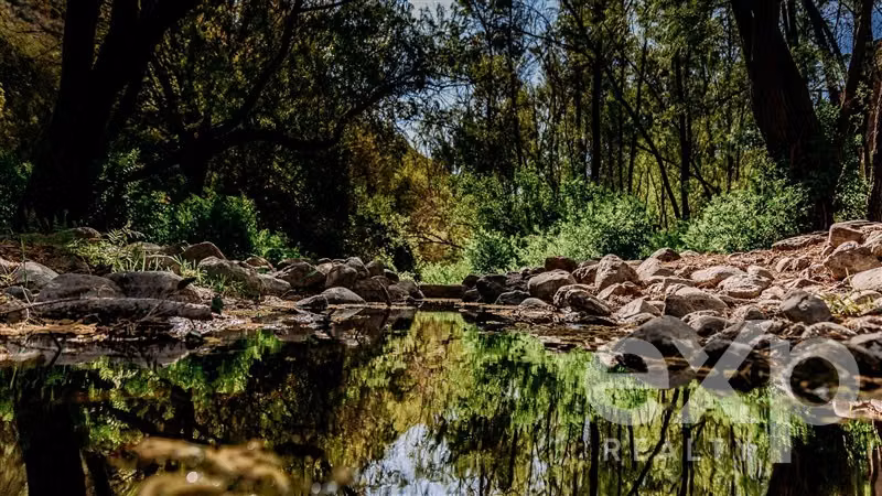 Invierte en naturaleza con sentido en Colliguay