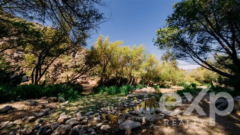 Invierte en naturaleza con sentido en Colliguay