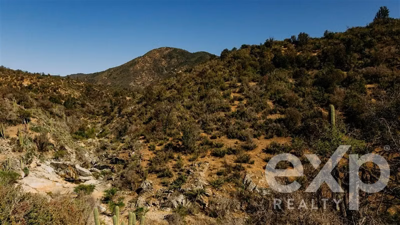 Invierte en naturaleza con sentido en Colliguay