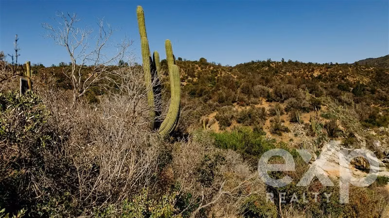 Invierte en naturaleza con sentido en Colliguay