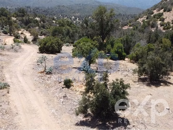 Invierte en naturaleza con sentido en Colliguay
