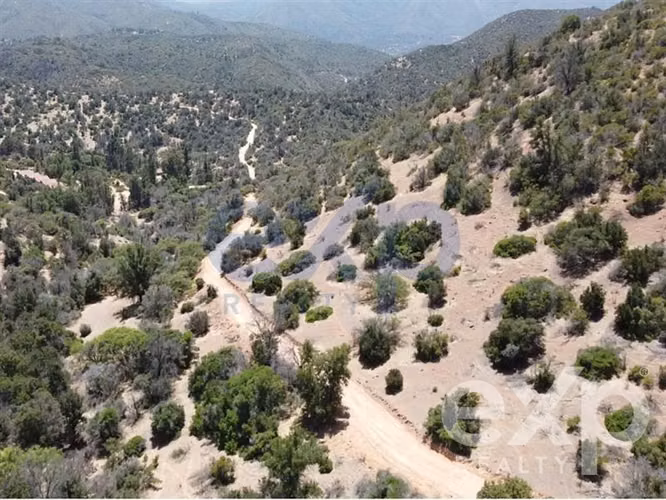 Invierte en naturaleza con sentido en Colliguay