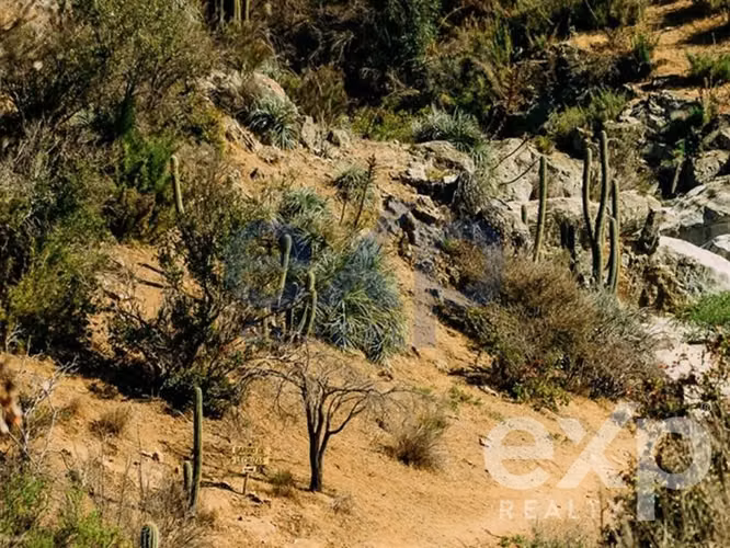 Invierte en naturaleza con sentido en Colliguay