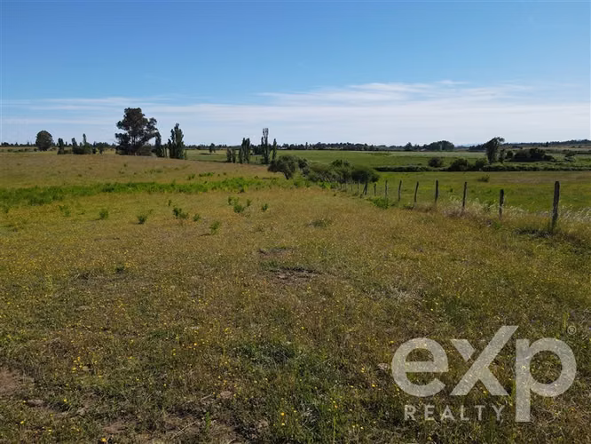 Campo agrícola en venta en Chillán 137778 - Imagen 33