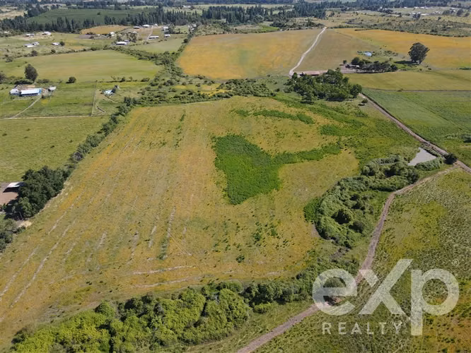 Campo agrícola en venta en Chillán