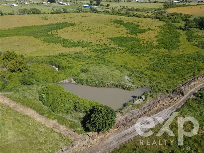 Campo agrícola en venta en Chillán 137778 - Imagen 15