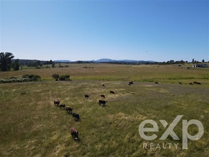 Campo agrícola en venta en Chillán 137778 - Imagen 19