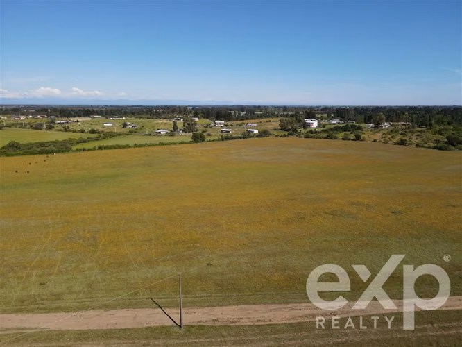 Campo agrícola en venta en Chillán