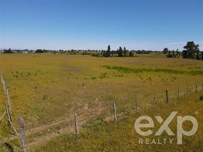 Campo agrícola en venta en Chillán 137778 - Imagen 10