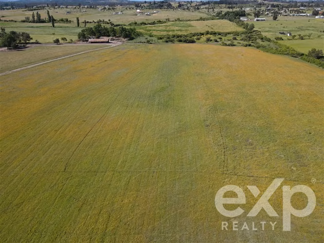 Campo agrícola en venta en Chillán