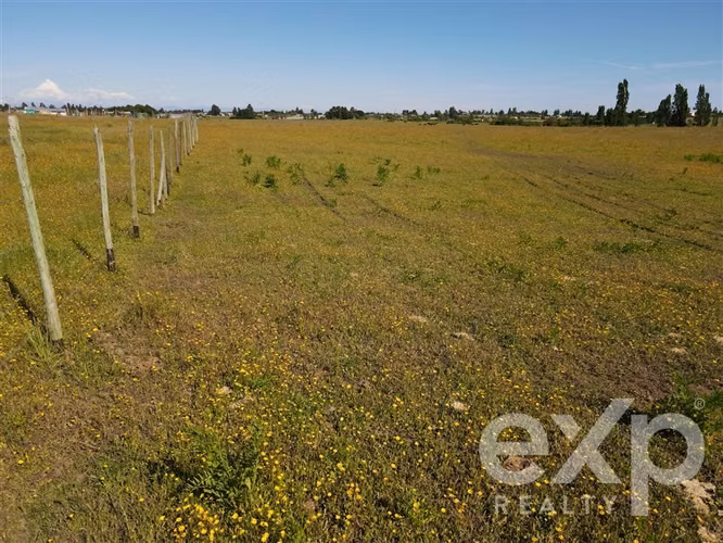 Campo agrícola en venta en Chillán 137778 - Imagen 32