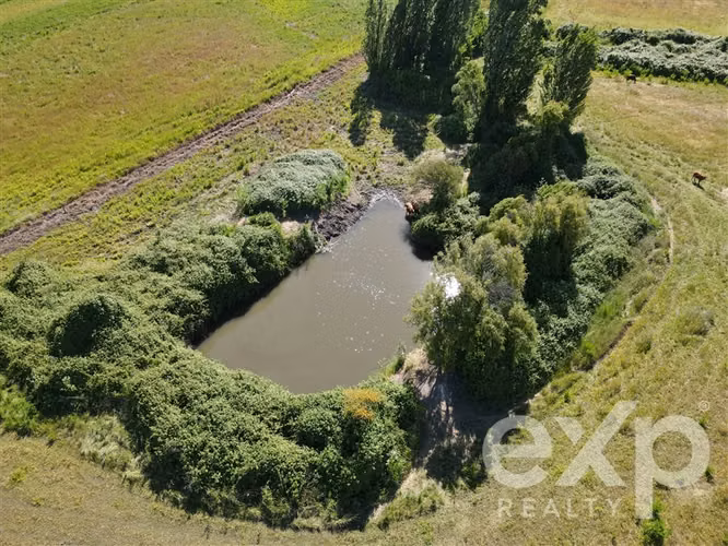 Campo agrícola en venta en Chillán