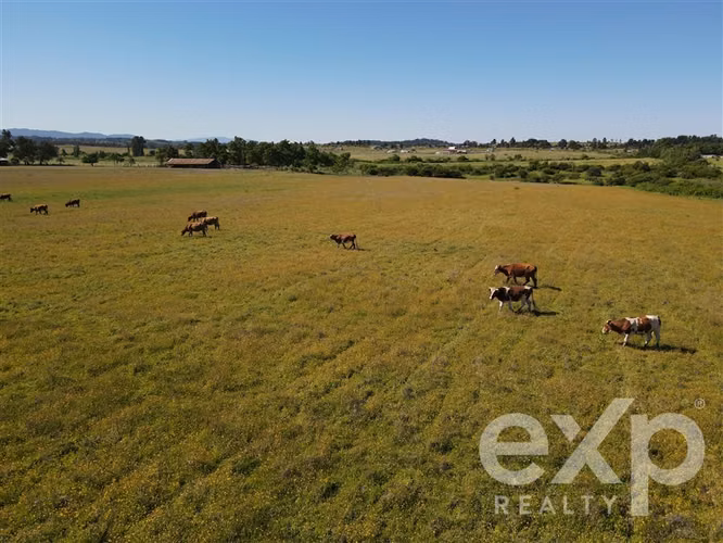 Campo agrícola en venta en Chillán 137778 - Imagen 4