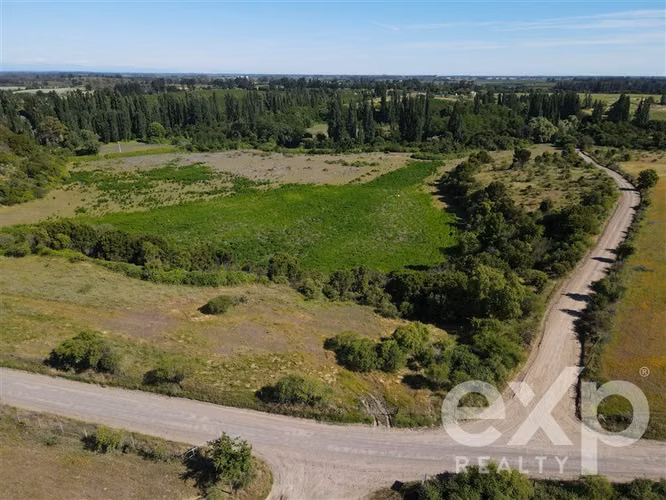 Campo agrícola en venta en Chillán 137778 - Imagen 24