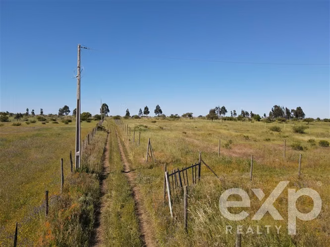 Campo agrícola en venta en Chillán 137778 - Imagen 30
