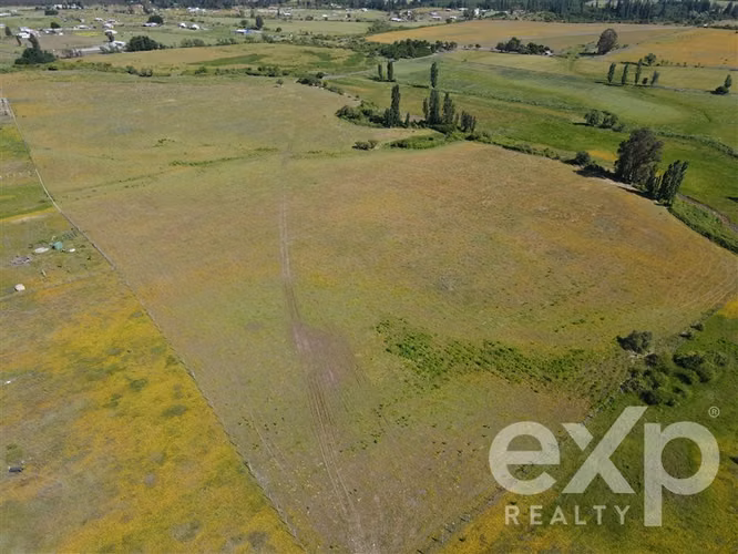 Campo agrícola en venta en Chillán 137778 - Imagen 5