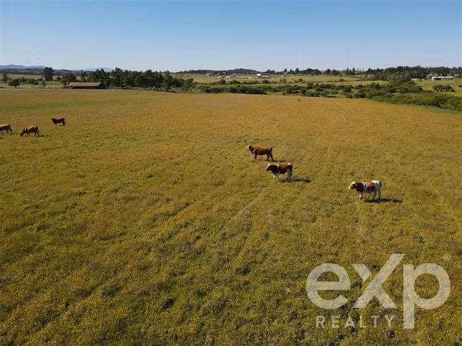 Campo agrícola en venta en Chillán 137778 - Imagen 27