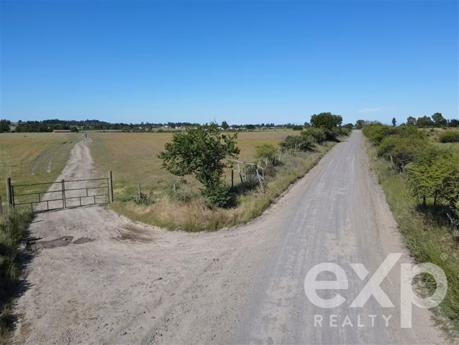 Campo agrícola en venta en Chillán 137778 - Imagen 18