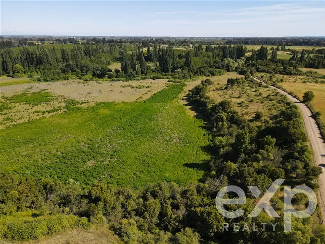 Campo agrícola en venta en Chillán