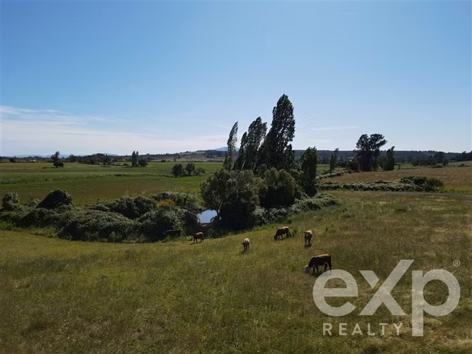 Campo agrícola en venta en Chillán 137778 - Imagen 21