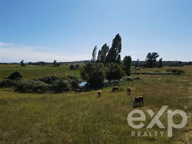 Campo agrícola en venta en Chillán 137778 - Imagen 22