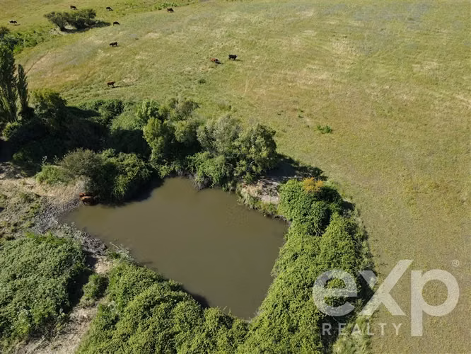 Campo agrícola en venta en Chillán 137778 - Imagen 14